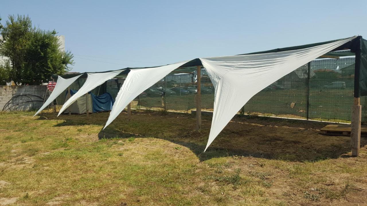 Hotel Camping Robinson Vama Veche Exteriér fotografie