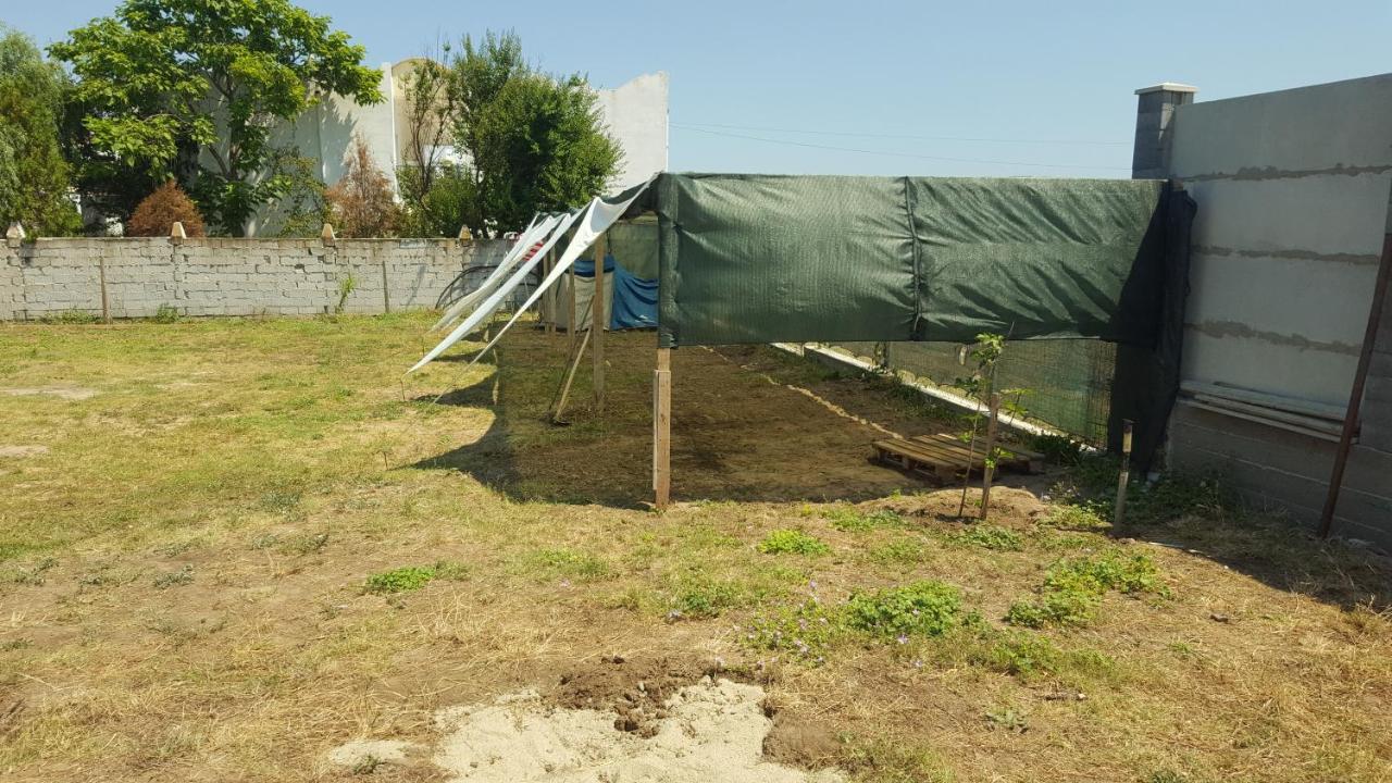 Hotel Camping Robinson Vama Veche Exteriér fotografie