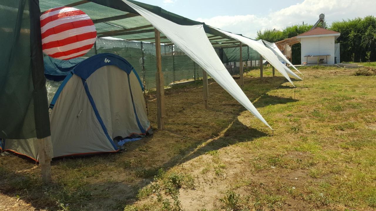 Hotel Camping Robinson Vama Veche Exteriér fotografie